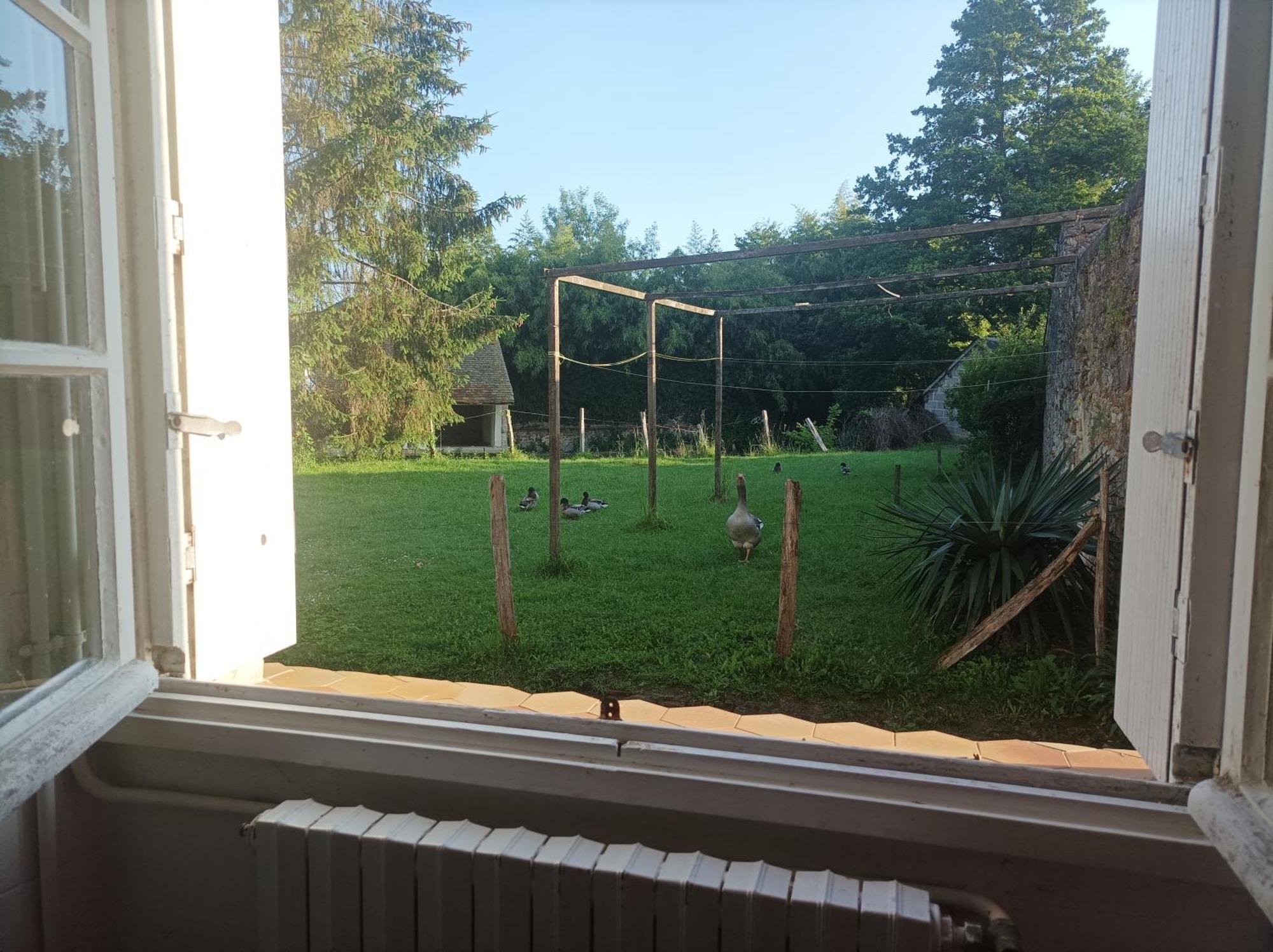 La Maison Au Bord De L'Eau Gracay Bagian luar foto