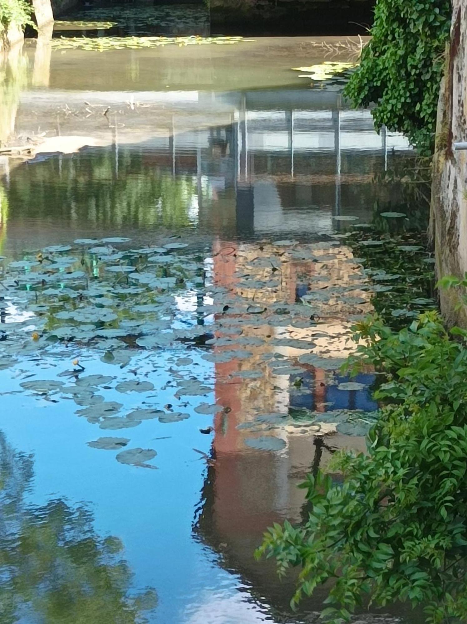 La Maison Au Bord De L'Eau Gracay Bagian luar foto